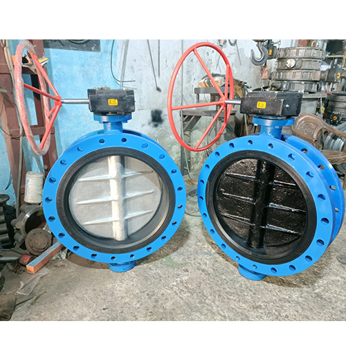 Butterfly Valve Manufacturer in India