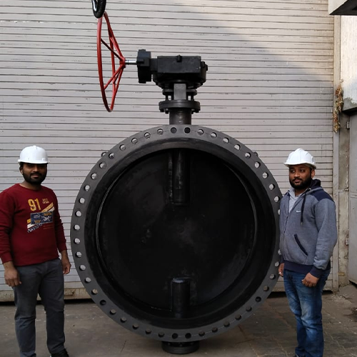 Butterfly Valve Exporter in India to Mozambique