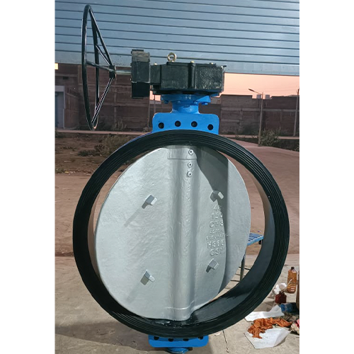 Double Offset Butterfly Valve India