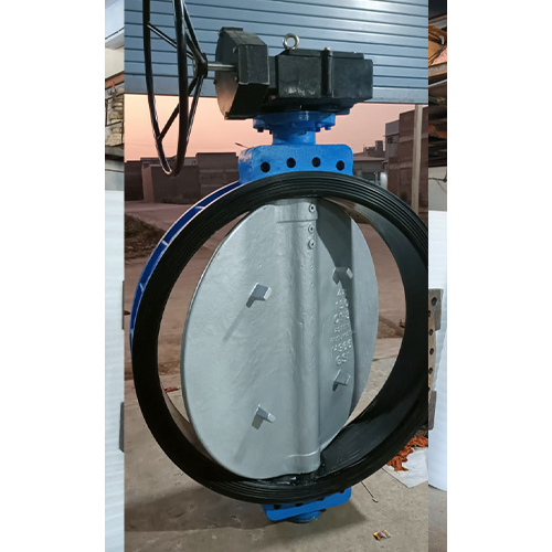 Double Offset Butterfly Valve Manufacturer in India