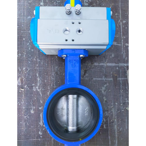 Intervalve Butterfly Valve Exporter